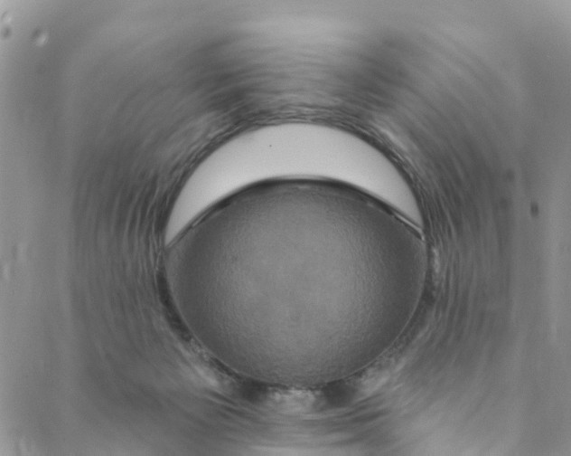 X0000088470125200706121539