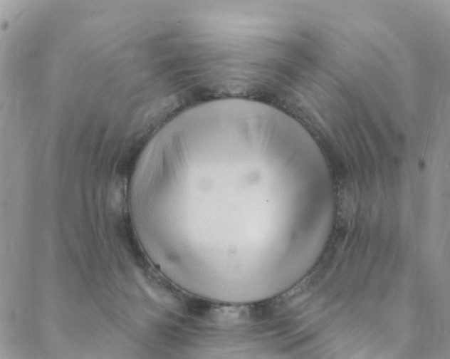 X0000088470126200706121539