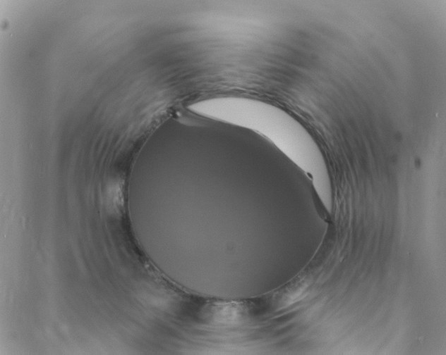 X0000088470127200706121539