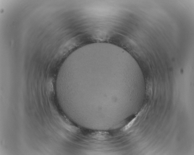 X0000088470128200706121539