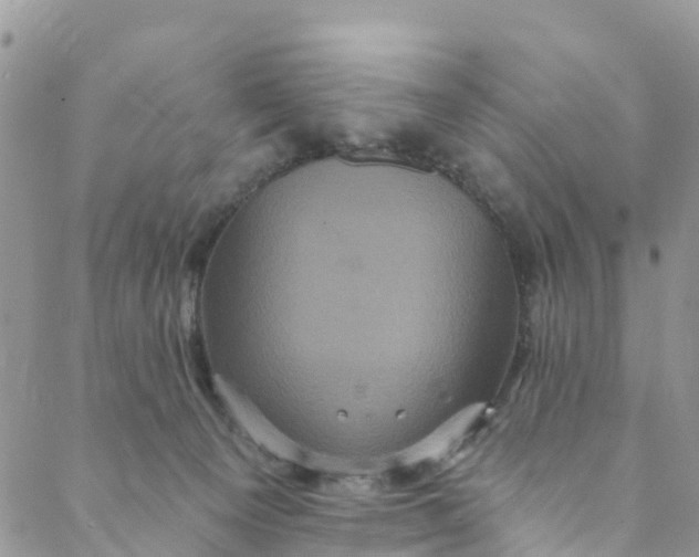 X0000088470129200706121539