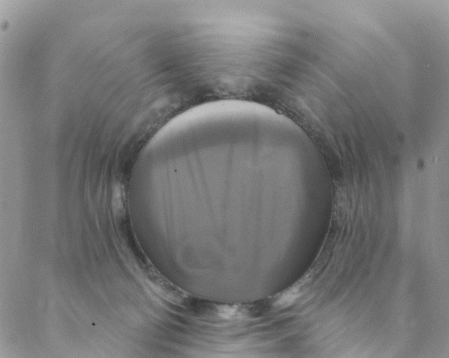 X0000088470130200706121539