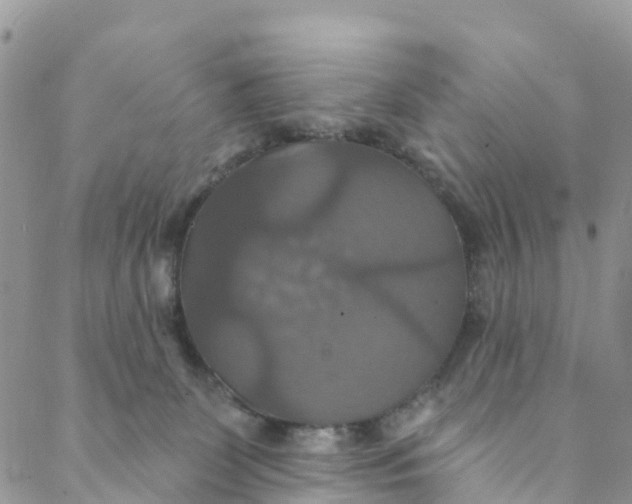 X0000088470131200706121539