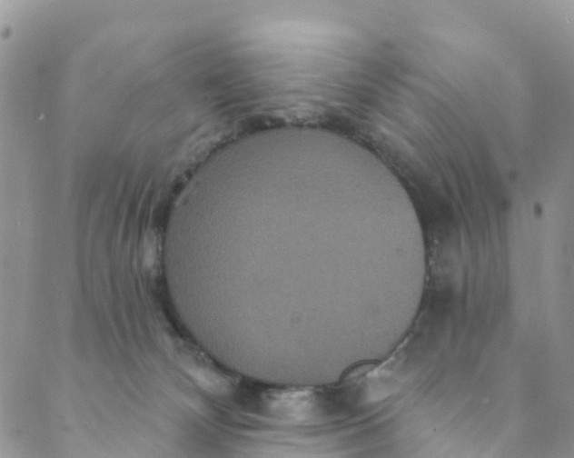 X0000088470132200706121539