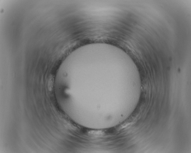 X0000088470133200706121539