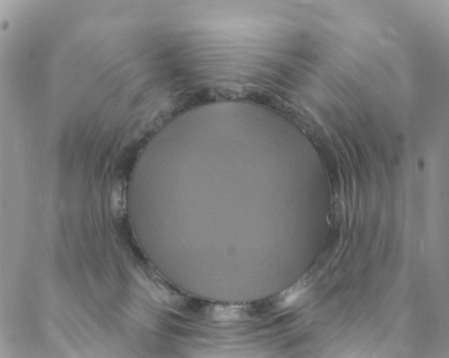 X0000088470134200706121539