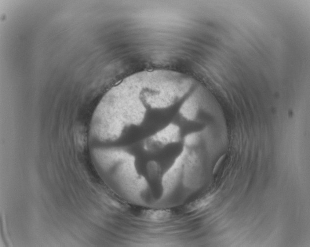 X0000088470135200706121539