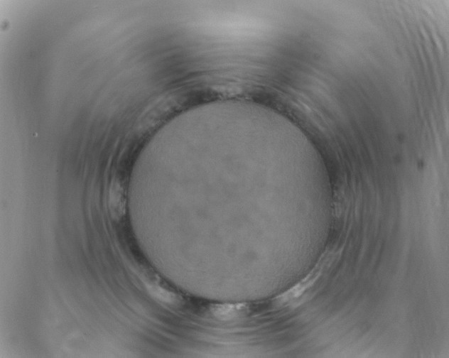 X0000088470136200706121539