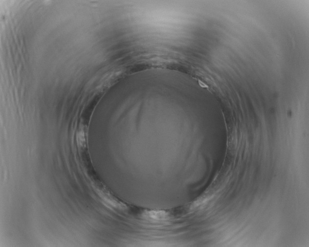 X0000088470137200706121539