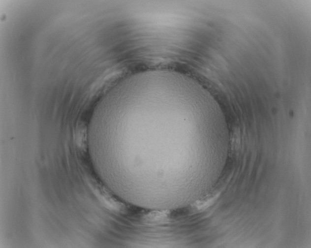 X0000088470138200706121539