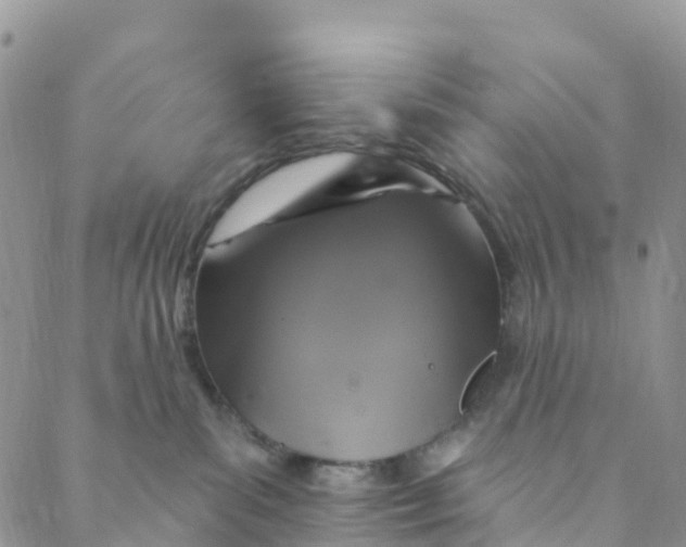 X0000088470139200706121539