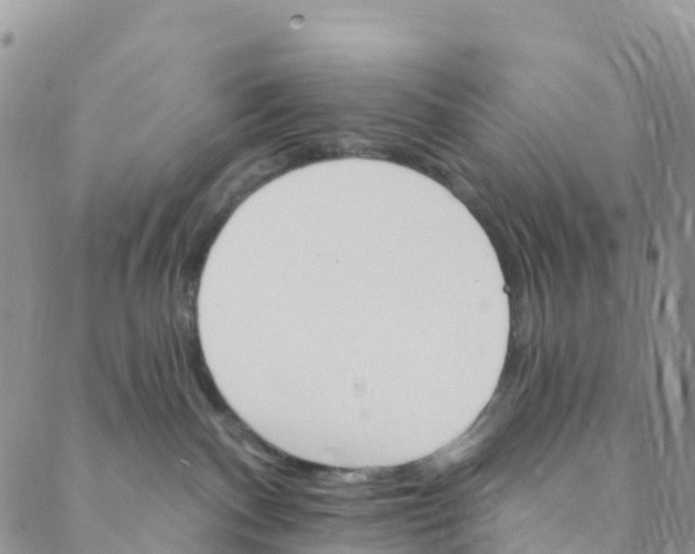 X0000088470140200706121539