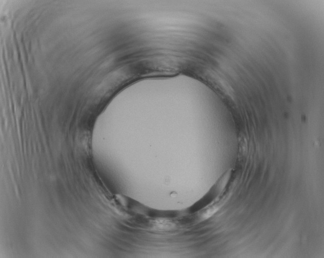 X0000088470141200706121539