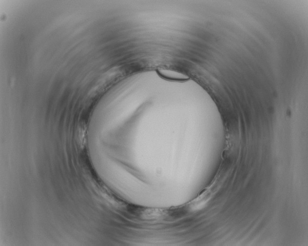 X0000088470142200706121539