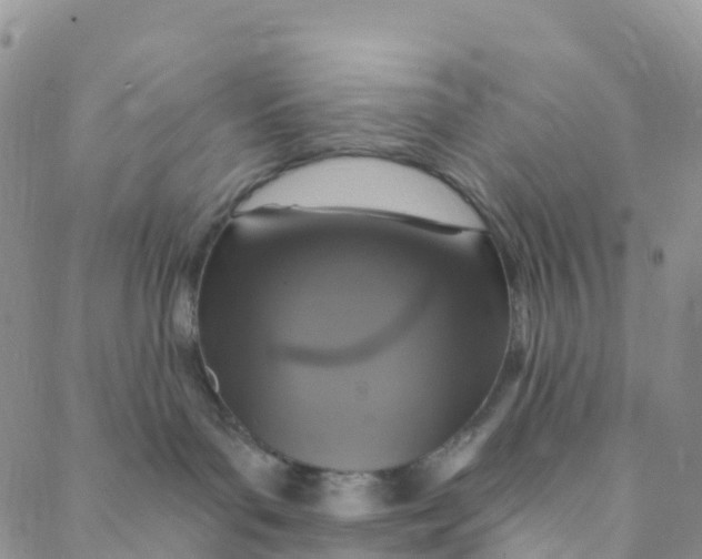 X0000088470143200706121539