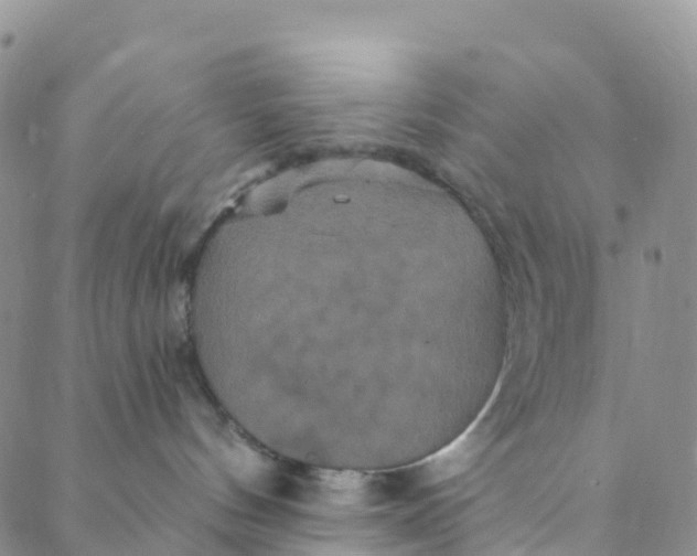 X0000088470144200706121538