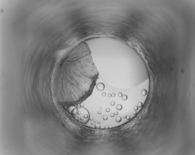 X0000088470145200706121538