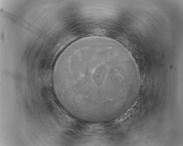 X0000088470146200706121538