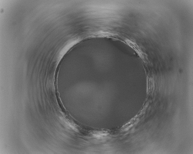 X0000088470147200706121538