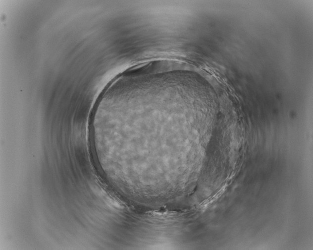 X0000088470148200706121538