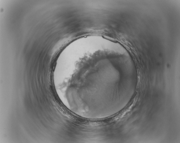 X0000088470149200706121538