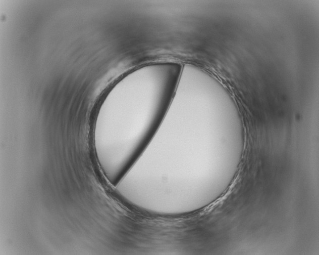 X0000088470150200706121538