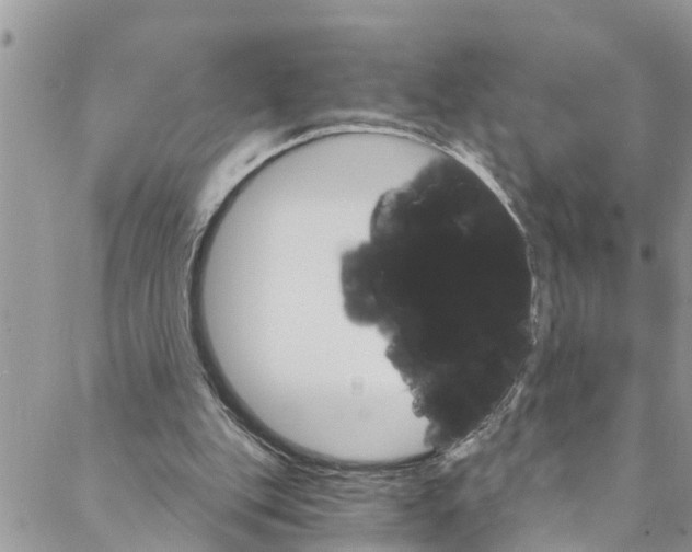 X0000088470151200706121538