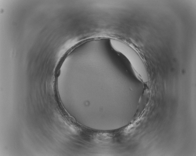 X0000088470152200706121538