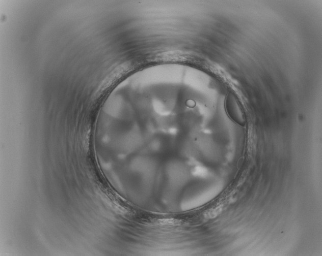 X0000088470153200706121538