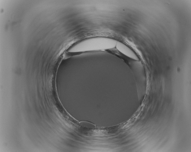 X0000088470154200706121538