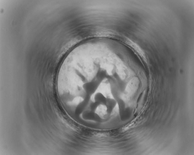 X0000088470155200706121538