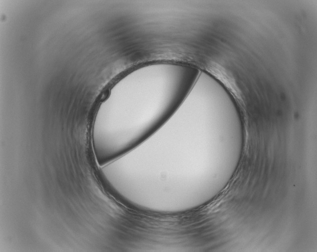 X0000088470156200706121538