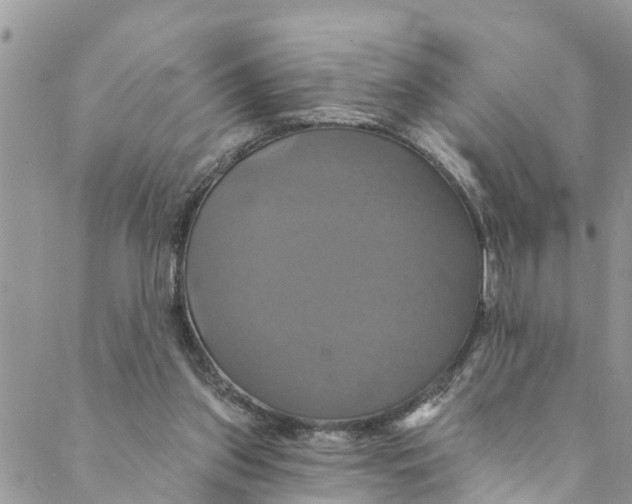 X0000088470157200706121538