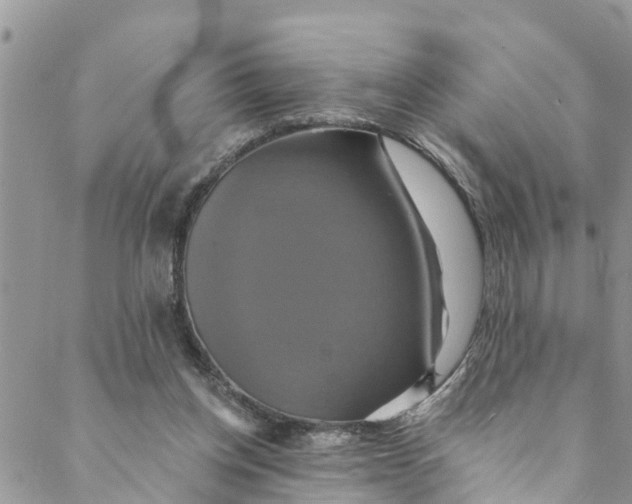 X0000088470158200706121538