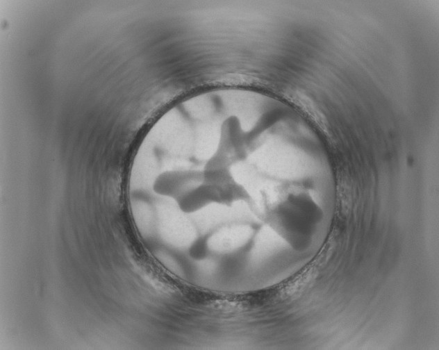 X0000088470159200706121538