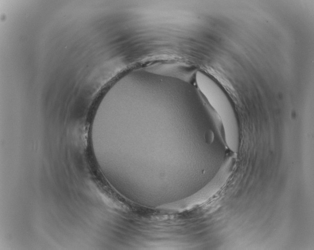 X0000088470160200706121538