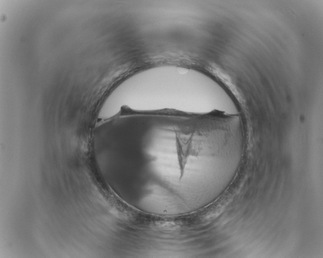 X0000088470161200706121538