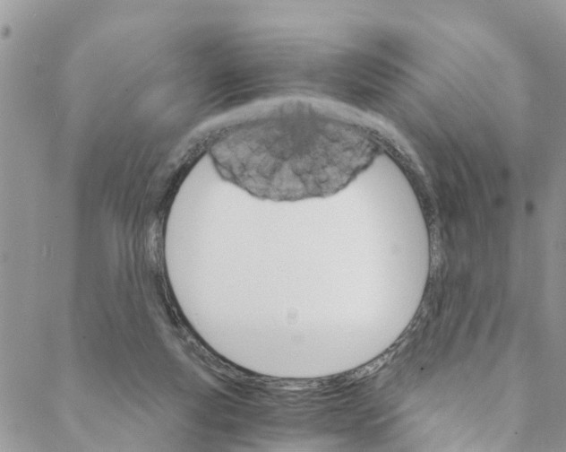 X0000088470163200706121538