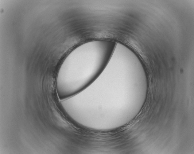 X0000088470164200706121538