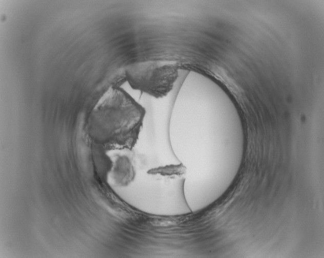 X0000088470165200706121538