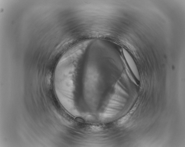 X0000088470166200706121538