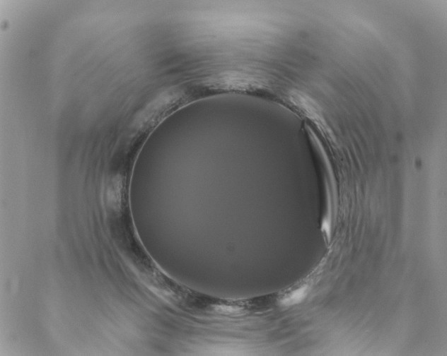 X0000088470167200706121538