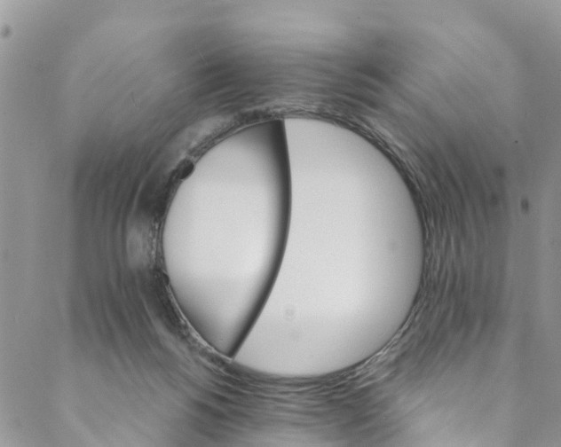 X0000088470168200706121538