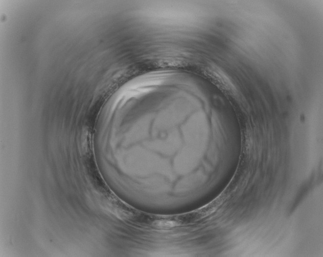 X0000088470169200706121538