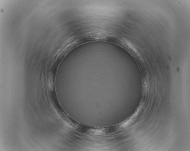 X0000088470170200706121538