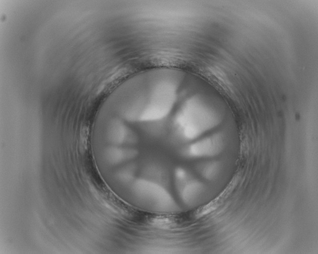 X0000088470171200706121538