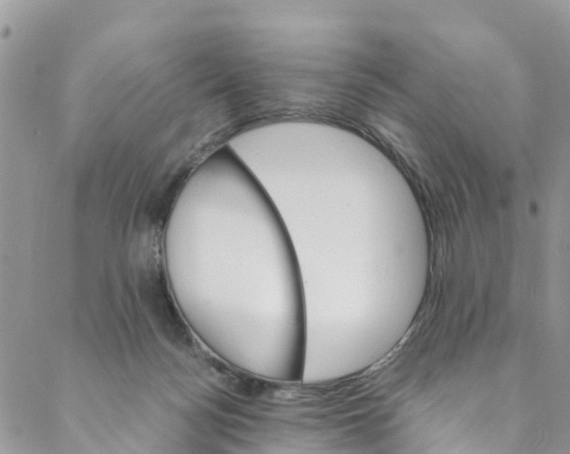 X0000088470172200706121538