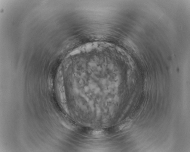 X0000088470173200706121538