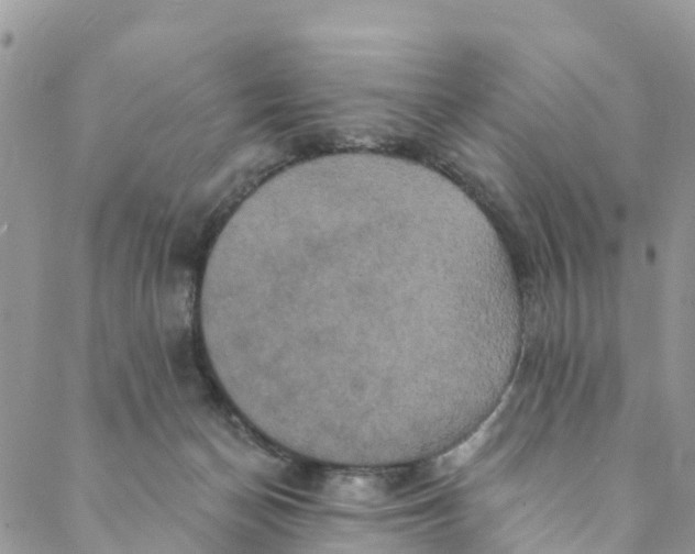 X0000088470174200706121538