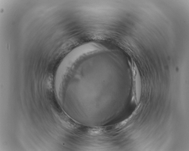 X0000088470175200706121538